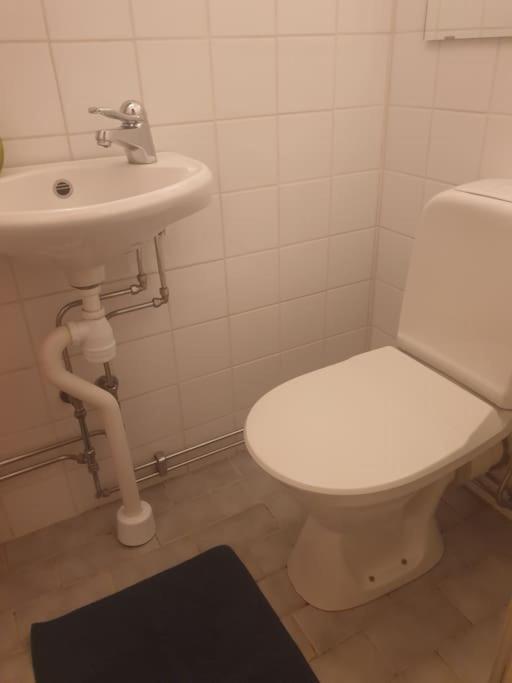 Charmig Vindslaegenhet- I Umea